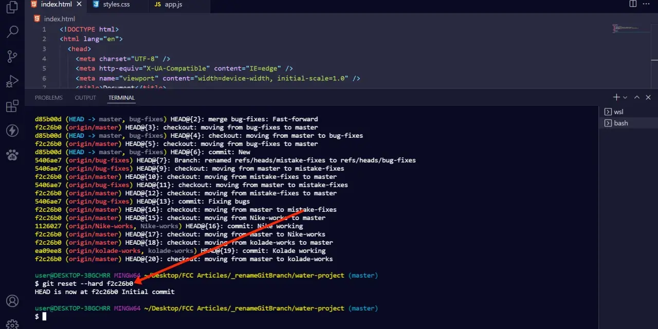 Il terminale mostra un comando `git reset --hard` che annulla le modifiche, un rollback SQL implicito per ripristinare uno stato precedente del progetto.