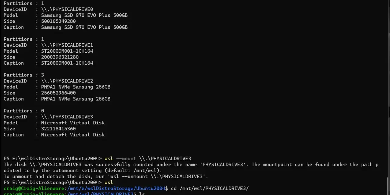 Un terminale Linux mostra l'elenco dei dischi e delle partizioni, inclusi SSD e dischi virtuali, con comandi per montarli e navigare.