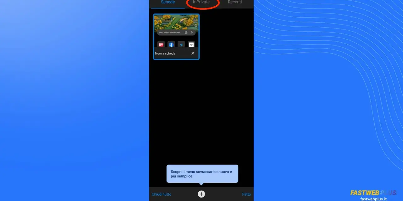 Schermata di navigazione in incognito da cellulare, con la scheda "InPrivate" attiva.