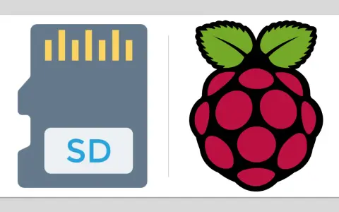 Scheda SD e logo Raspberry Pi, ideali per un raspberry backup.