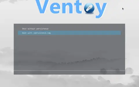 Schermata di Ventoy per installare Linux su chiavetta USB persistente. Opzione "Boot with /persistence.img" selezionata.