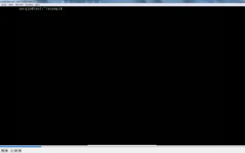 Prompt dei comandi Linux: sergio@test:~/esempi$.
