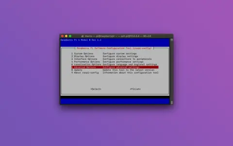 Schermata di configurazione Raspberry Pi, opzione "Advanced Options" selezionata, utile per impostare il boot da USB.