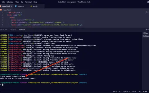 Il terminale mostra un comando `git reset --hard` che annulla le modifiche, un rollback SQL implicito per ripristinare uno stato precedente del progetto.