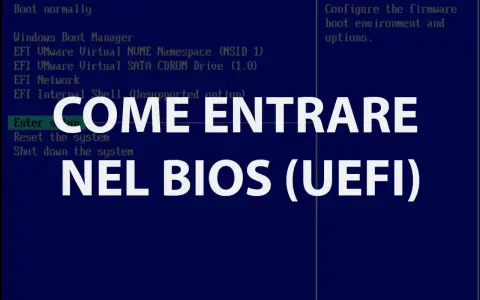Schermata Boot Manager: scopri come accedere al BIOS (UEFI) per configurare l'ambiente di avvio e le opzioni.