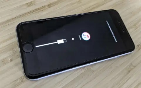 iPhone in modalità DFU, pronto per il ripristino tramite iTunes.
