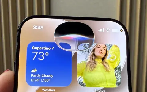 Schermo iPhone con widget meteo e foto. La Dynamic Island mostra un'onda colorata, forse perché Siri non risponde.