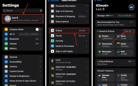 Schermate impostazioni iPhone per gestire l'account Apple e iCloud. Mostra come eliminare account Apple tramite iCloud.