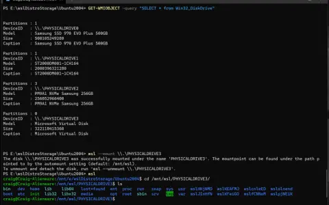 Un terminale Linux mostra l'elenco dei dischi e delle partizioni, inclusi SSD e dischi virtuali, con comandi per montarli e navigare.