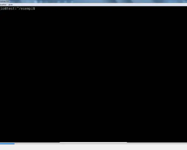 Prompt dei comandi Linux: sergio@test:~/esempi$.