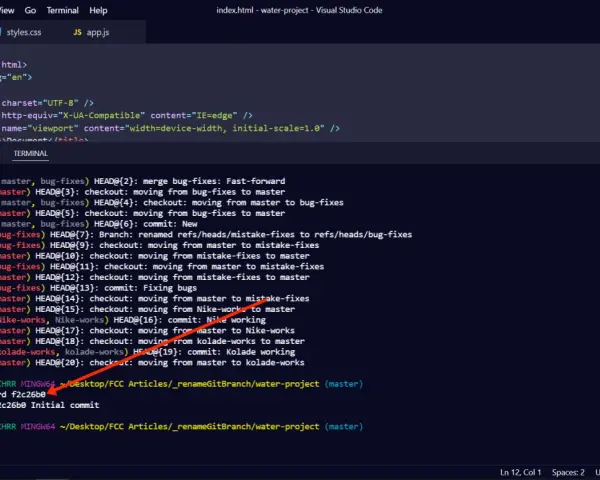 Il terminale mostra un comando `git reset --hard` che annulla le modifiche, un rollback SQL implicito per ripristinare uno stato precedente del progetto.