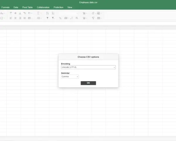 Finestra di dialogo per scegliere le opzioni di codifica e delimitatore per aprire file CSV.