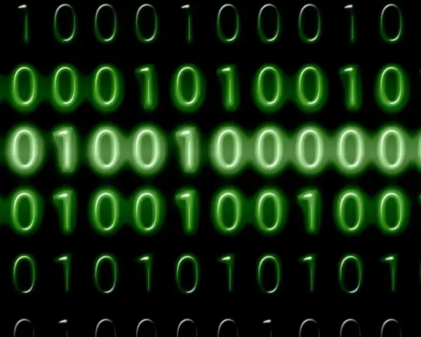 Sequenze di zeri e uno verdi brillano su sfondo nero. Il codice binario, che rappresenta il mb significato, scorre in righe.