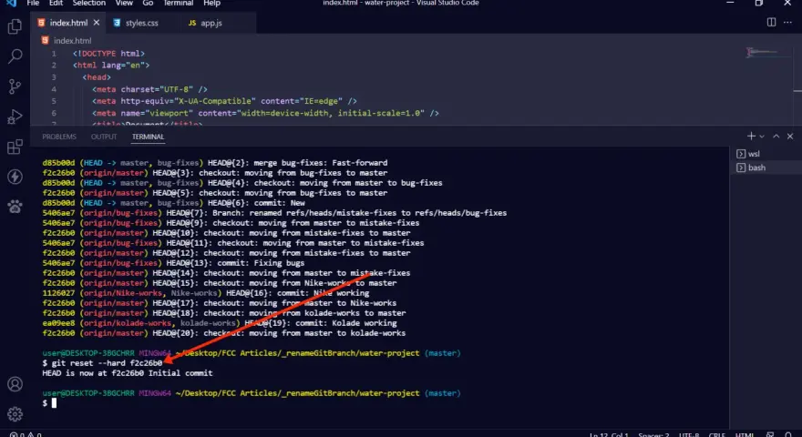 Il terminale mostra un comando `git reset --hard` che annulla le modifiche, un rollback SQL implicito per ripristinare uno stato precedente del progetto.