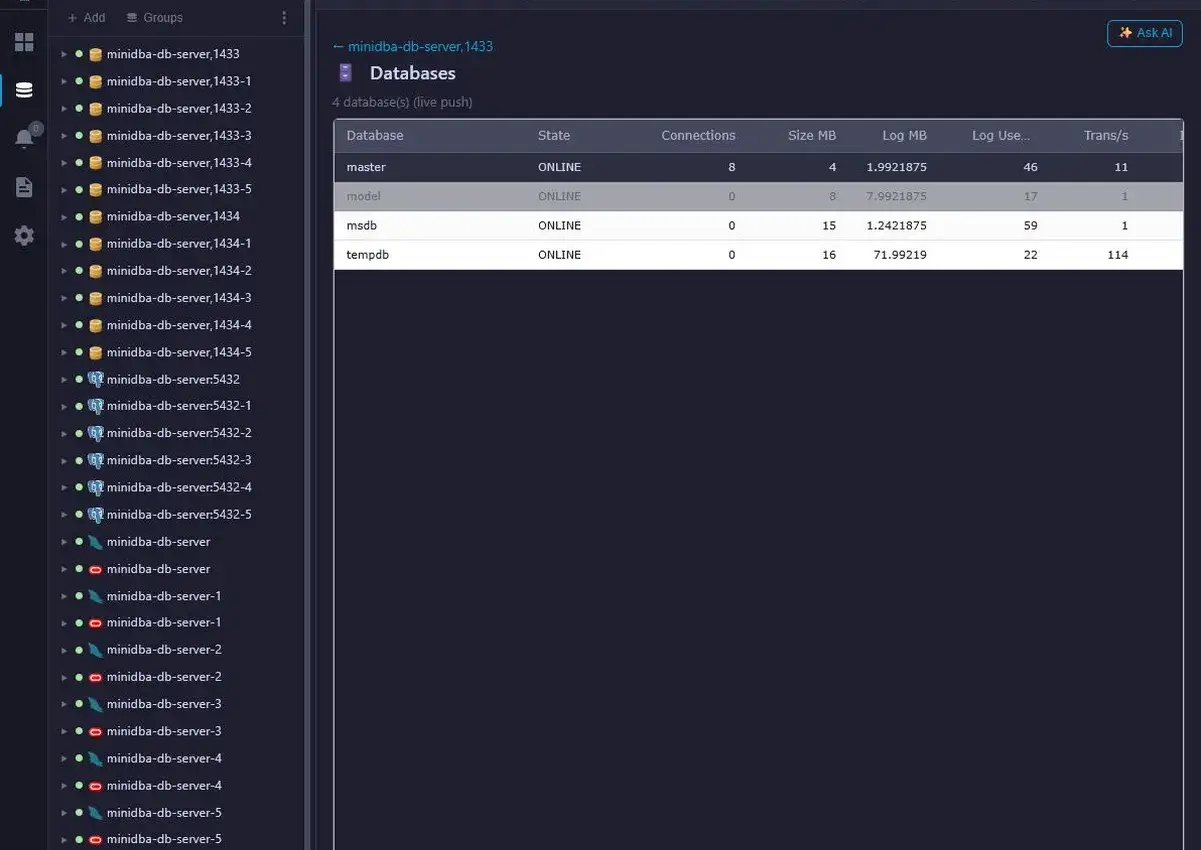 Interfaccia di gestione database con elenco di server e dettagli per 